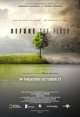[夸克网盘]洪水泛滥之前 Before the Flood (2016) 纪录片 美国 英语 豆瓣评分8.8 1.9G