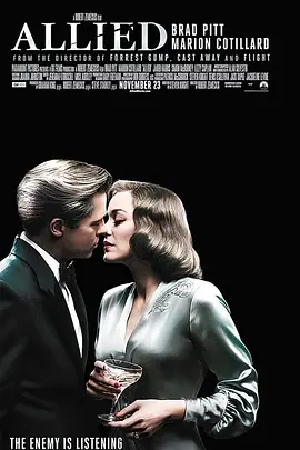 [夸克网盘]间谍同盟 Allied (2016) 剧情 / 动作 / 爱情 / 惊悚 / 战争 英国 / 美国 英语 / 法语 / 德语 / 阿拉伯语 豆瓣评分7.0 8.3G