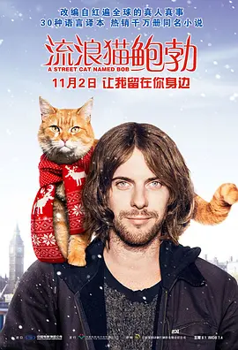 [夸克网盘]流浪猫鲍勃 A Street Cat Named Bob (2016) 剧情 / 喜剧 / 传记 英国 英语 豆瓣评分7.9 2.3G