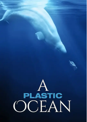 [夸克网盘]塑料海洋 A Plastic Ocean (2016) 纪录片 英国 / 美国 英语 豆瓣评分9.2 1.1G