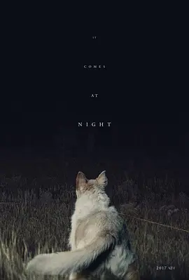 [夸克网盘]黑夜造访 It Comes at Night (2017) 悬疑 / 恐怖 美国 英语 豆瓣评分6.1 4.1G