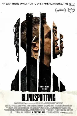 [夸克网盘]盲点 Blindspotting (2018) 剧情 / 喜剧 / 犯罪 美国 英语 豆瓣评分7.3 1.6G