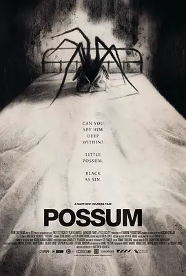 [夸克网盘]负鼠 Possum (2018)剧情 / 惊悚 / 恐怖 英国 英语 豆瓣评分5.1 14.7G
