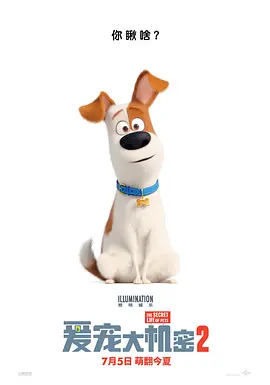 [夸克网盘]爱宠大机密2 The Secret Life of Pets 2 (2019)喜剧 / 动画 / 冒险 美国 英语 豆瓣评分6.8 8.7G