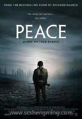 [夸克网盘]和平 Peace (2019) 惊悚 / 传记 / 战争 美国 英语 豆瓣评分4.8 16.2G