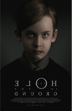 [夸克网盘]地面之洞 The Hole in the Ground (2019) 恐怖 爱尔兰 英语 豆瓣评分5.4 3G