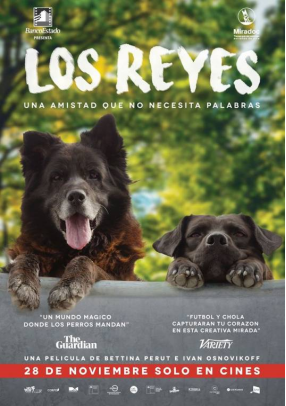 [夸克网盘]犬犬风尘 Los Reyes (2018) 纪录片 智利 / 德国 西班牙语 豆瓣评分6.9 1.6G