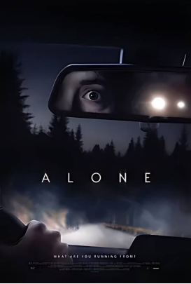 [夸克网盘]孤身 Alone (2020) 惊悚 美国 英语 豆瓣评分6.1 1.4G