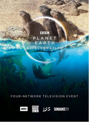 [夸克网盘]地球脉动：生命礼赞 Planet Earth: A Celebration (2020) 纪录片 英国 英语 豆瓣评分9.5 4.2G