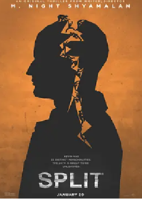 [夸克网盘]分裂 Split (2016) 悬疑 / 惊悚 / 犯罪 美国 英语 豆瓣评分7.4 3.5G