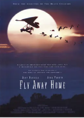 [夸克网盘]伴你高飞 Fly Away Home (1996) 剧情 / 家庭 / 冒险 美国 英语 豆瓣评分8.8 4.1G
