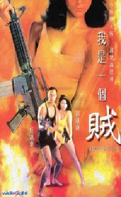 [夸克网盘]我是一个贼 我是一个賊 (1995)动作 / 犯罪 中国香港 粤语 豆瓣评分6.6 2.1G
