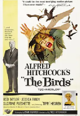 [夸克网盘]群鸟 The Birds (1963) 悬疑 / 惊悚 / 灾难 美国 英语 豆瓣评分8.0 2.6G