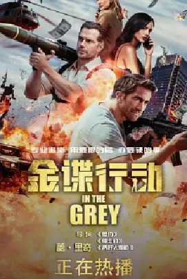 [夸克网盘]金谍行动 In the Grey (2026) 剧情 / 动作 / 惊悚 英国 / 美国 英语 豆瓣评分6.1 10.6G
