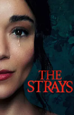 [夸克网盘]流浪者 The Strays (2023)剧情 / 惊悚 英国 英语 豆瓣评分5.1 1.7G