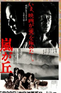 [夸克网盘]呼啸山庄 嵐が丘 (1988)剧情 / 爱情 日本 日语 豆瓣评分7.3 1.3G