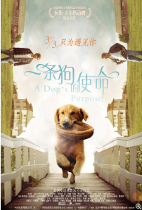 [夸克网盘]：一条狗的使命 A Dog's Purpose (2017) 剧情 / 喜剧 / 家庭 地区: 美国 语言: 英语 豆瓣：7.7