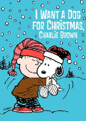 [夸克网盘]查理布朗的圣诞礼物 I Want a Dog for Christmas, Charlie Brown (2003) 剧情 / 动画 / 短片 美国 英语 豆瓣评分暂无评分 2.9G