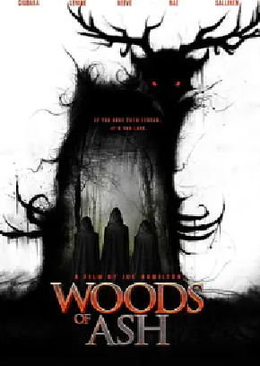 [夸克网盘]灰烬森林 Woods of Ash (2025） 惊悚 美国 英语 豆瓣评分暂无评分 2.1G