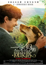 [夸克网盘]一条狗的回家路 A Dog's Way Home (2019)剧情 冒险 中国大陆 美国 英语 豆瓣6.8