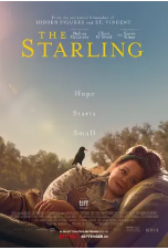 [夸克网盘]八哥 The Starling (2021)剧情 美国 英语 豆瓣6.4