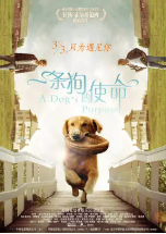 [夸克网盘]一条狗的使命 A Dog's Purpose (2017)剧情 喜剧 家庭 美国 英语 豆瓣7.7