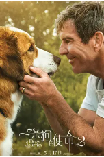 [夸克网盘]一条狗的使命2 A Dog's Journey (2019)剧情 喜剧 家庭 中国大陆 印度 中国香港 美国 英语 豆瓣6.9