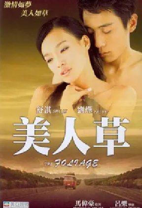 [夸克网盘]美人草 (2004) 剧情 中国大陆 汉语普通话 豆瓣评分6.7 364.6MB
