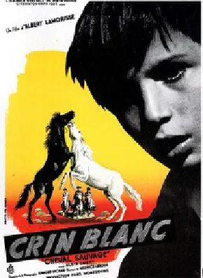 [夸克网盘]白鬃野马 Crin blanc: Le cheval sauvage (1953)剧情 法国 法语 豆瓣评分8.3 4.2G
